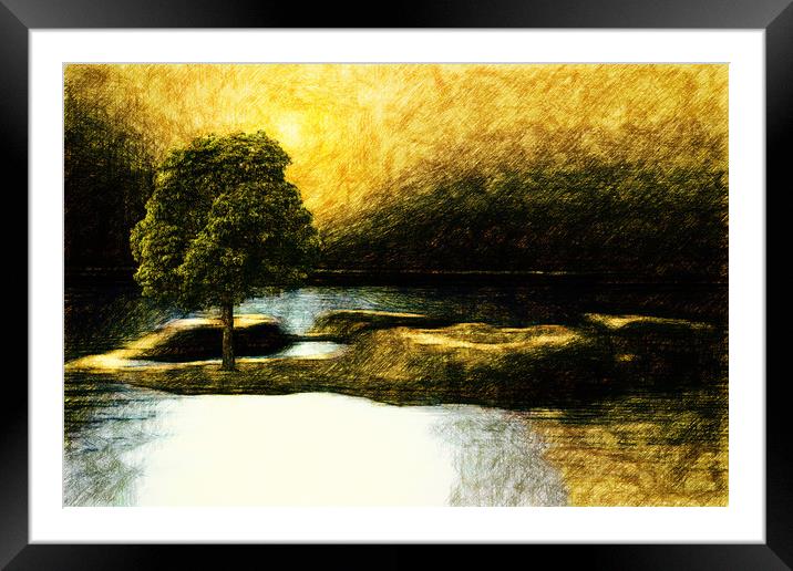 The tree at the Silver Lake  Framed Mounted Print by Dagmar Giers