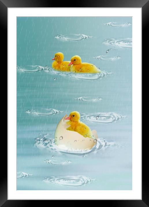 little ducklings Framed Mounted Print by Dagmar Giers