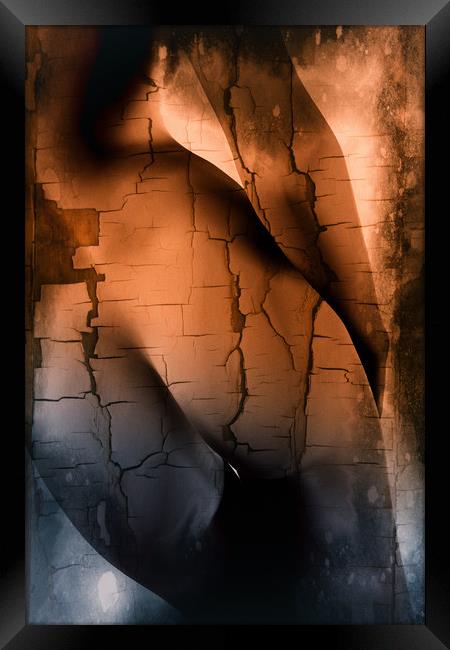 female naked curves  Framed Print by Dagmar Giers