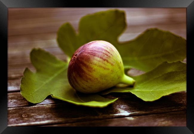 Honeyed figs  Framed Print by Dagmar Giers