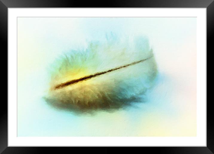 Angel feather  Framed Mounted Print by Dagmar Giers