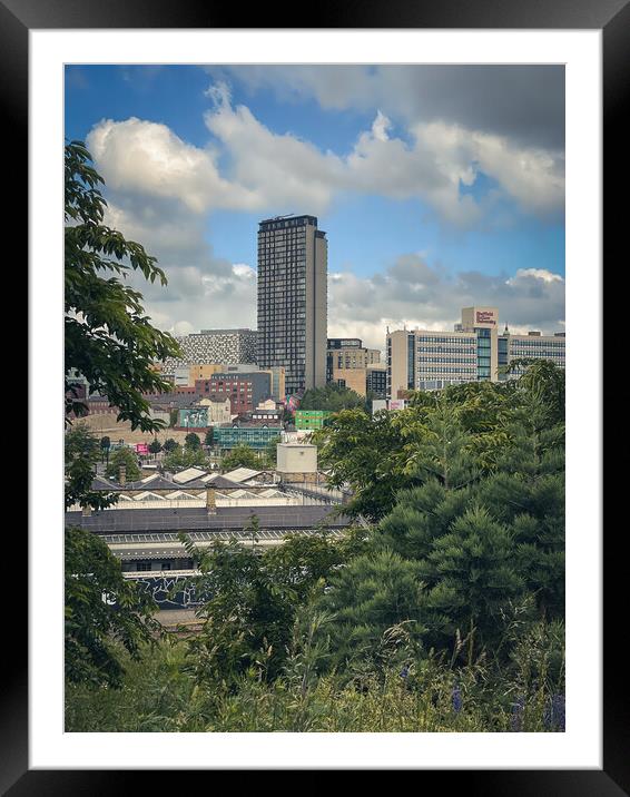 Sheffield Framed Mounted Print by Paul Andrews