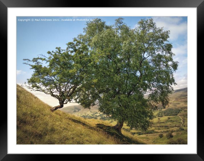 Great Ridge Trees Framed Mounted Print by Paul Andrews