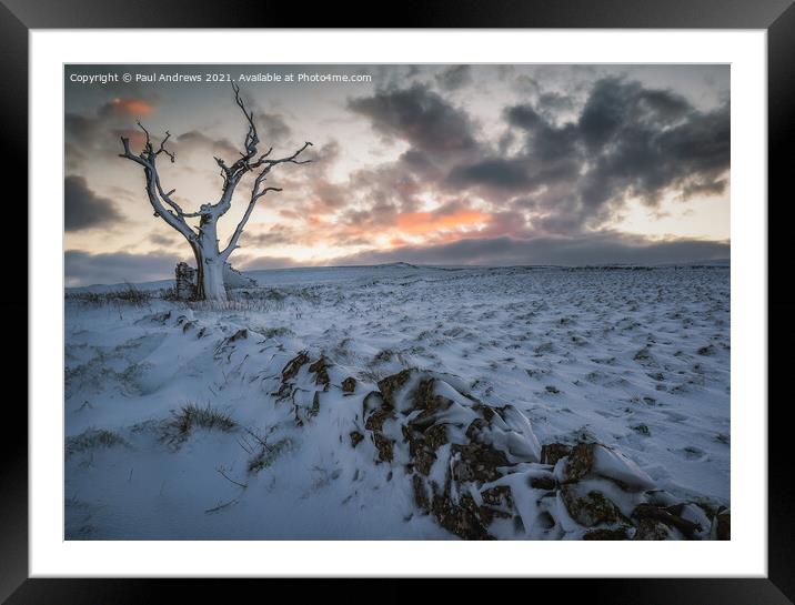 Cow Low Sunset Framed Mounted Print by Paul Andrews