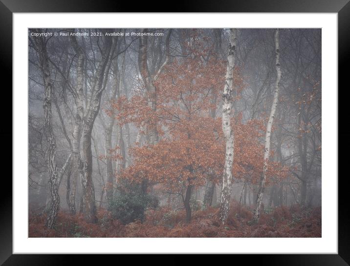Sherwood Mist Framed Mounted Print by Paul Andrews