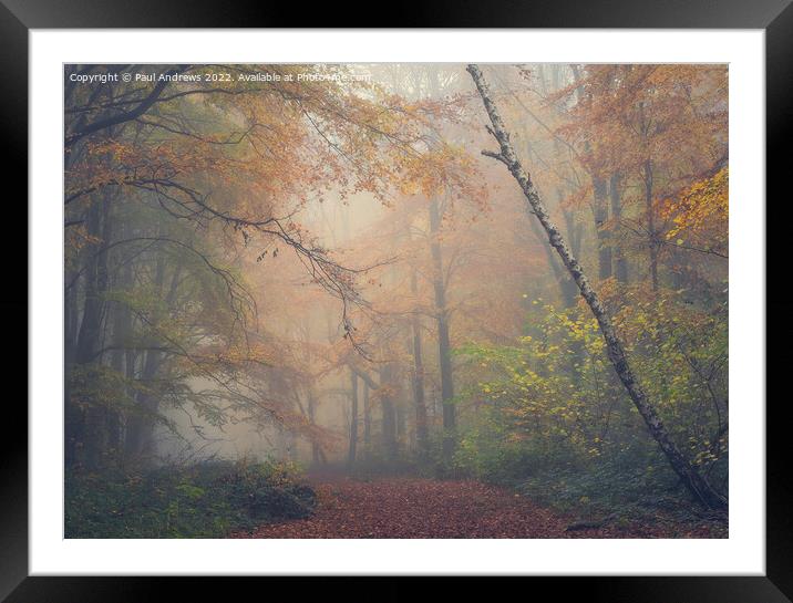 Whitwell Woods Framed Mounted Print by Paul Andrews