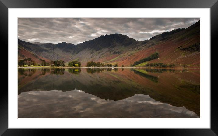 The Buttermere Pines Framed Mounted Print by Paul Andrews