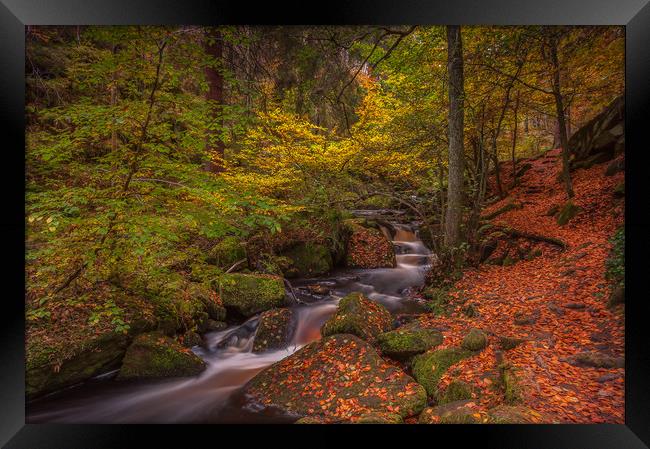 Autumn in Wyming Brook  Framed Print by Paul Andrews
