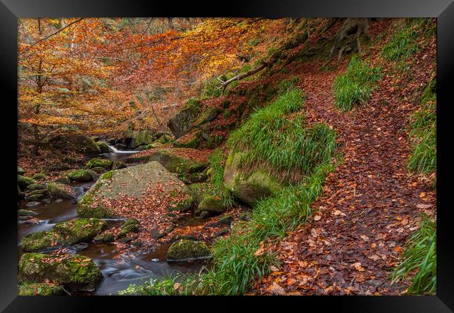 Autumn in Padley Gorge  Framed Print by Paul Andrews