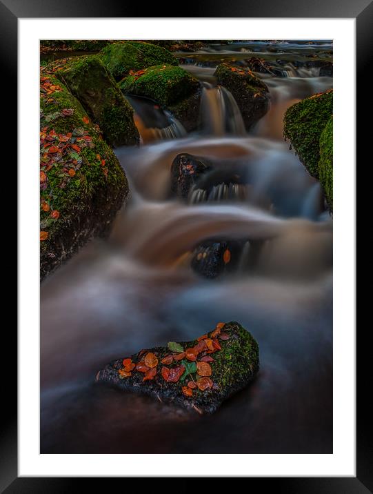 Autumn in Wyming Brook  Framed Mounted Print by Paul Andrews