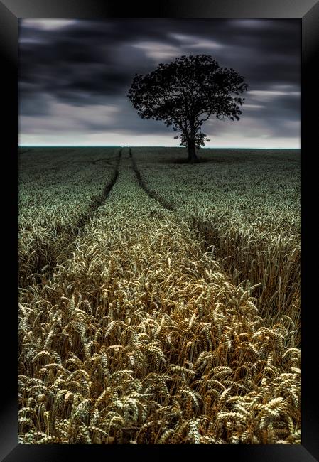 The Wheatfield Framed Print by Paul Andrews