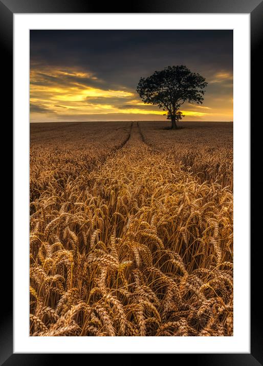 Harvest Time Framed Mounted Print by Paul Andrews