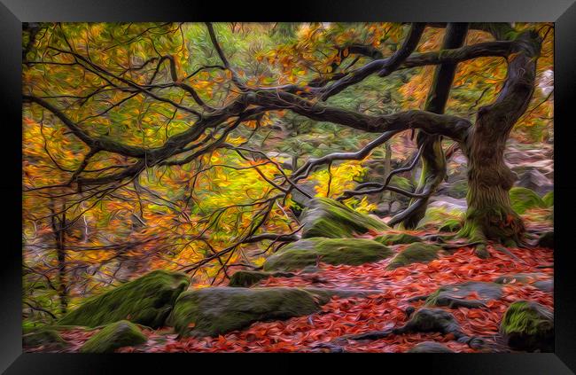 Autumn in Padley Gorge Framed Print by Paul Andrews