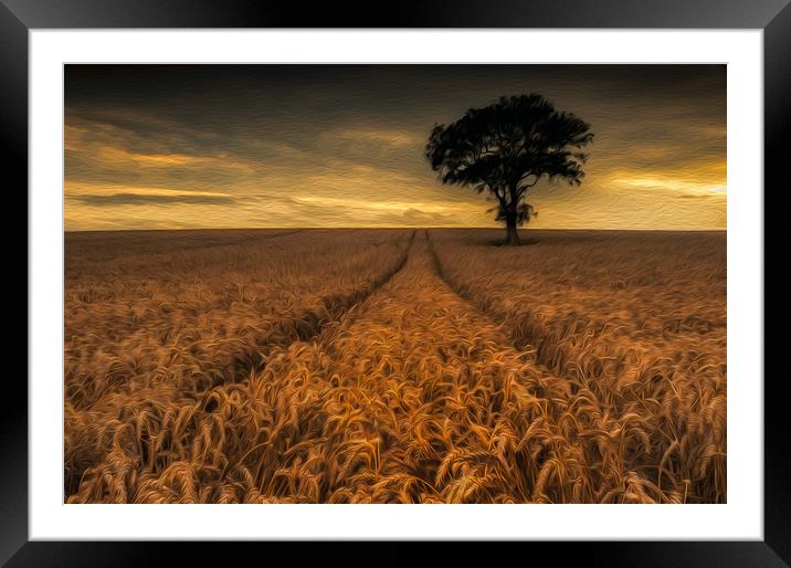 Harvest Time #3 Framed Mounted Print by Paul Andrews