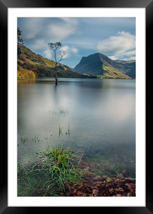 Buttermere Lone Tree Framed Mounted Print by Paul Andrews