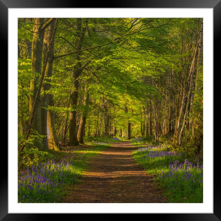 Clumber Park Bluebells Framed Mounted Print by Paul Andrews