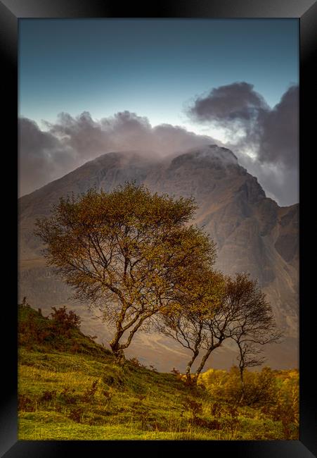Blaven and Silver Birch Trees Framed Print by Paul Andrews