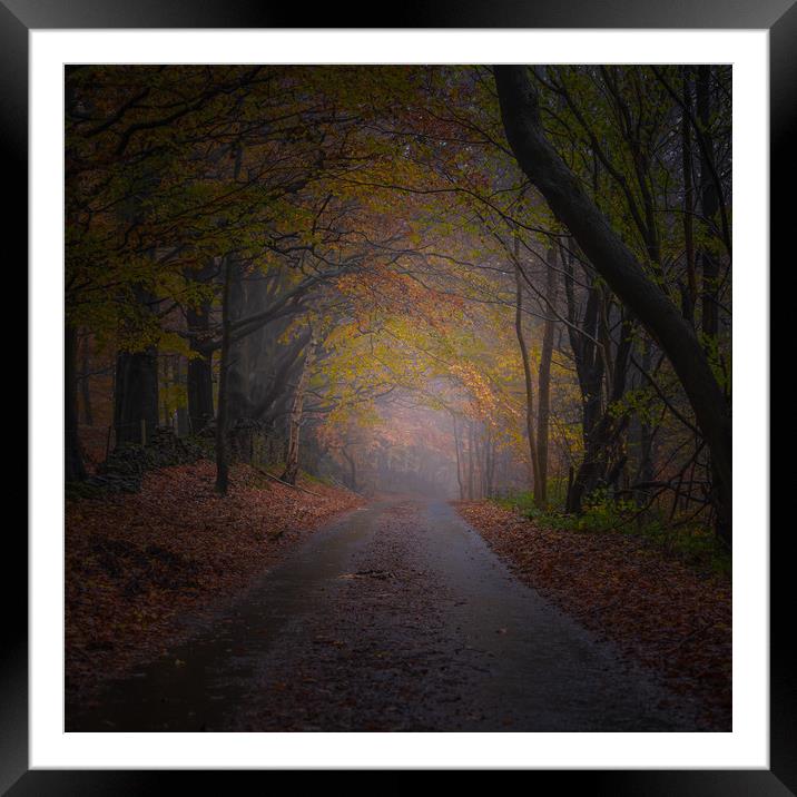 Unthank Lane Framed Mounted Print by Paul Andrews