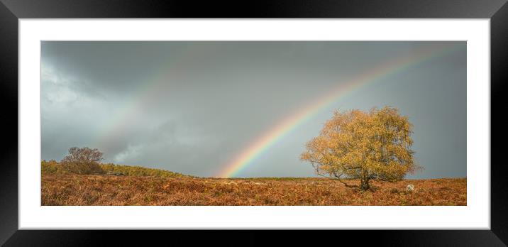 Lawrence Field Double Rainbow Framed Mounted Print by Paul Andrews