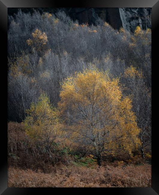 Millstone Edge Framed Print by Paul Andrews