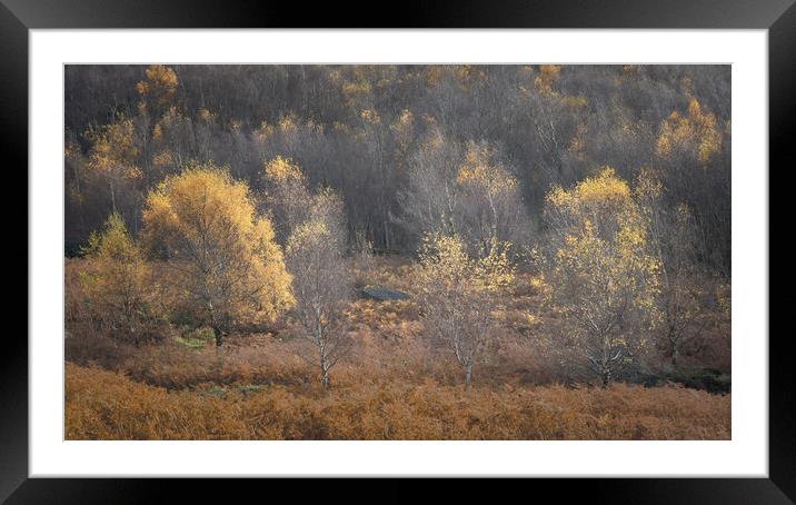 Last Days of Autumn Framed Mounted Print by Paul Andrews