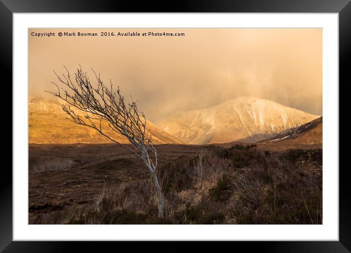 Lone Tree. Framed Mounted Print by Mark Bowman