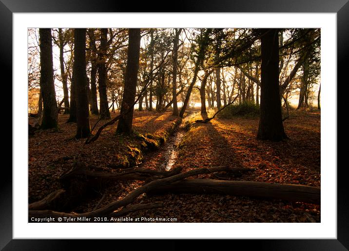 Autumn Bliss Framed Mounted Print by Tyler Miller