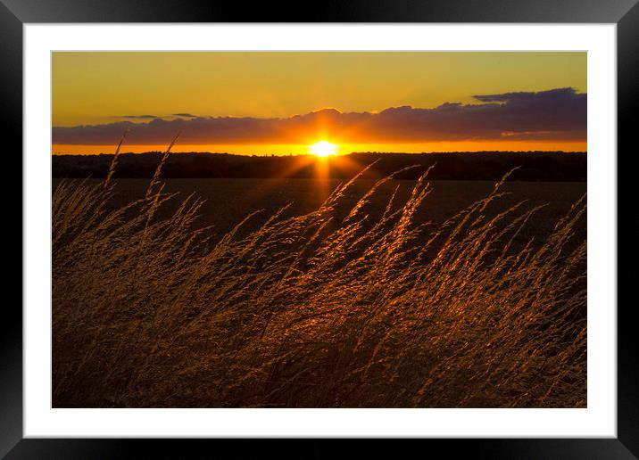 Sunset Framed Mounted Print by Phil Dutton