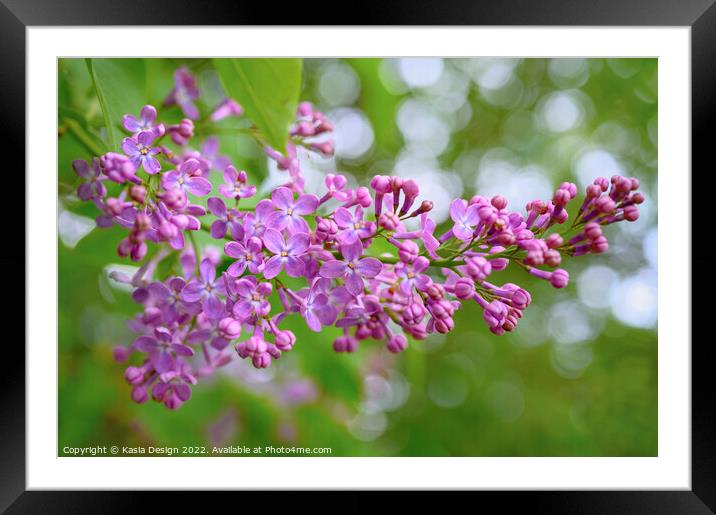 Delicate Lilac Blossom Framed Mounted Print by Kasia Design