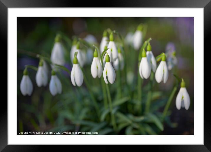 Snowdrops Framed Mounted Print by Kasia Design