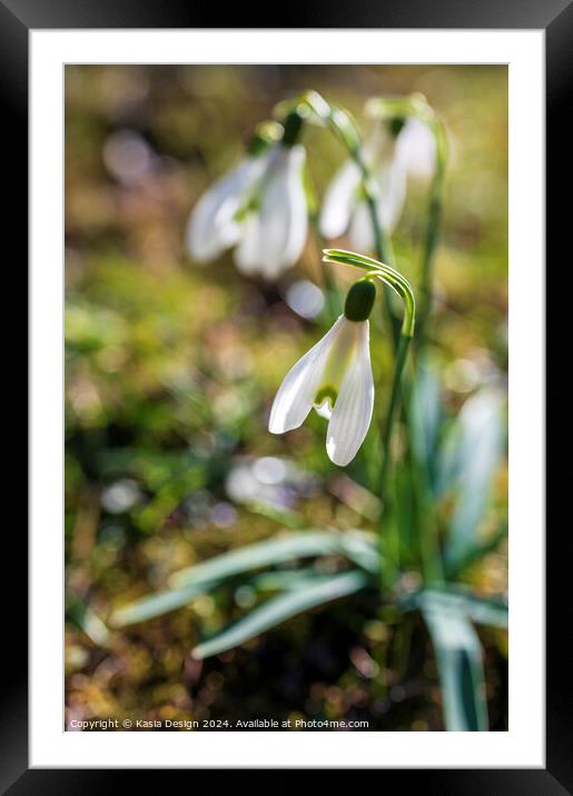 Portrait of Snowdrop Framed Mounted Print by Kasia Design