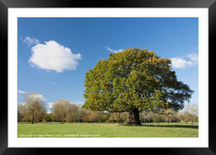 The Mighty Oak Framed Mounted Print by Kasia Design