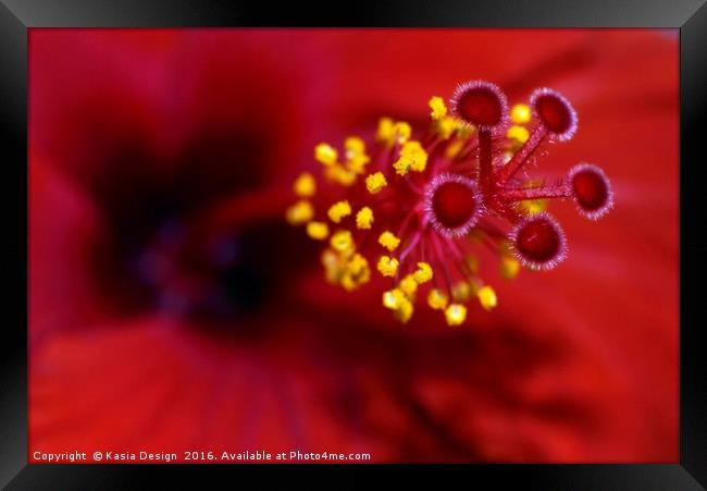 I'm on Fire - Hibiscus Framed Print by Kasia Design