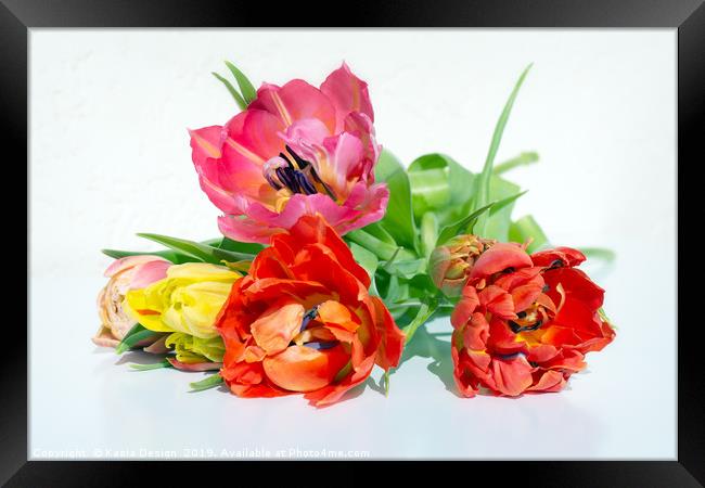 Vibrant Spring Tulips Framed Print by Kasia Design