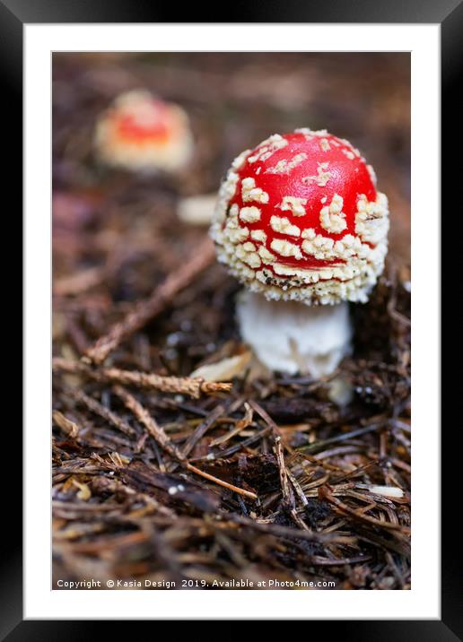 The Toadstool Framed Mounted Print by Kasia Design