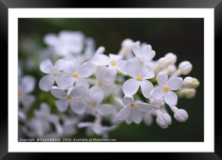 Delicate White Blossom Framed Mounted Print by Kasia Design