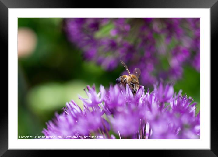 Busy Bee hard at work Framed Mounted Print by Kasia Design