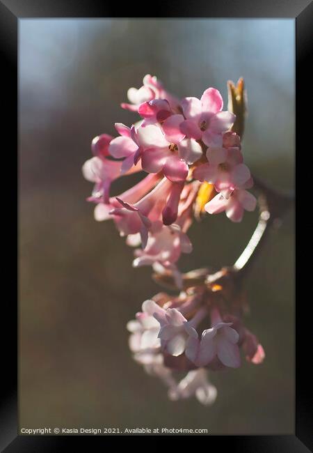 Dainty Blossom Framed Print by Kasia Design