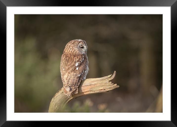 Watchman Framed Mounted Print by Richard Astbury