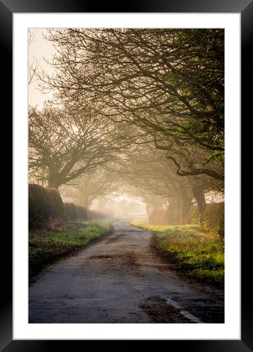 The Road Less Traveled (Portrait Version) Framed Mounted Print by Jonathan Grady