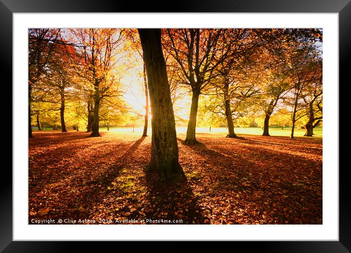 Autumn Glory Framed Mounted Print by Clive Ashton