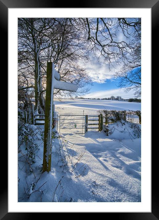 Winter footpath Framed Mounted Print by Clive Ashton