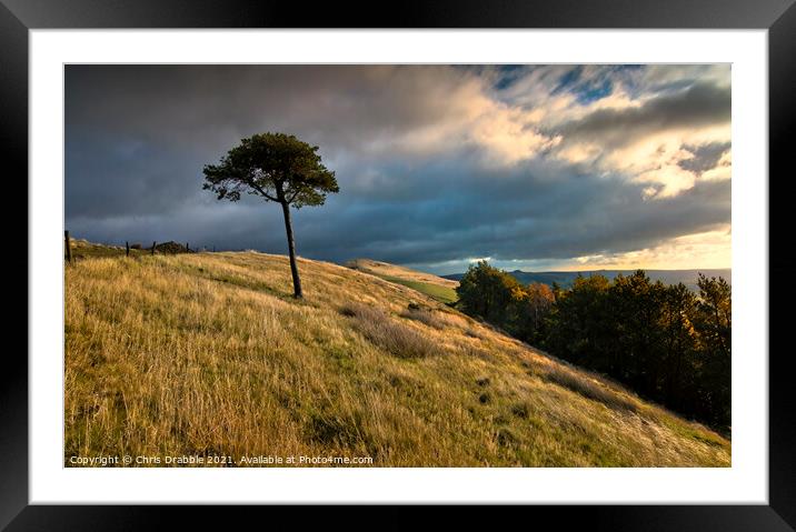 Lone tree on Back Tor Framed Mounted Print by Chris Drabble