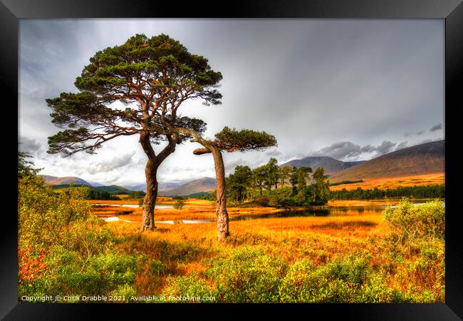 Loch Tulla Autumn light Framed Print by Chris Drabble