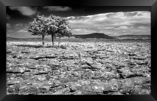 Clints and Grykes and Penyghent Framed Print by Chris Drabble