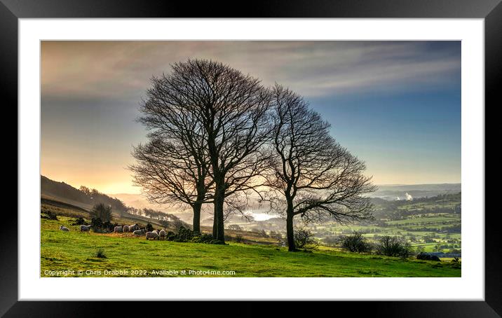 Winter trees at the Roaches  (2) Framed Mounted Print by Chris Drabble