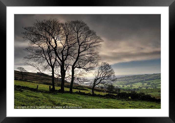 Winter Trees at Roach End Framed Mounted Print by Chris Drabble