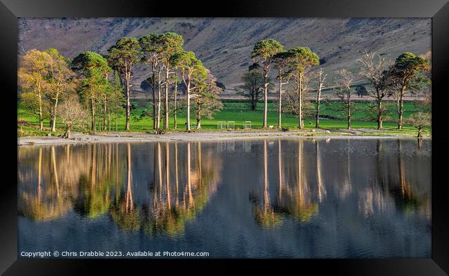 Buttermere Reflections Framed Print by Chris Drabble
