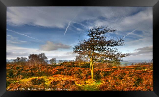 Stanton Moor at Sunset Framed Print by Chris Drabble