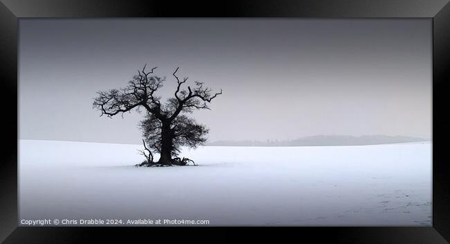 In the depths of Winter Framed Print by Chris Drabble